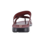 Slippers For Men PUG 23