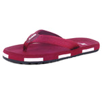 Slippers for Women SFL 2115